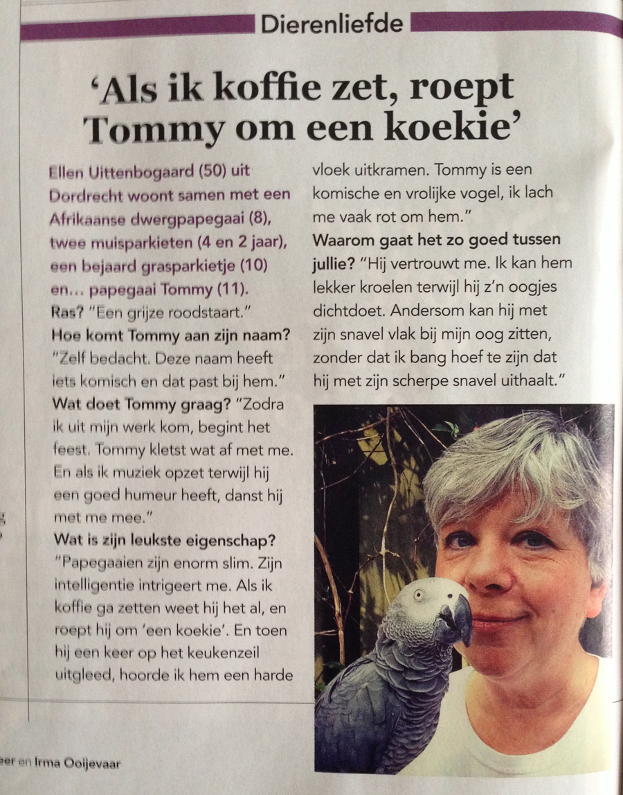 Tommy wil koekie