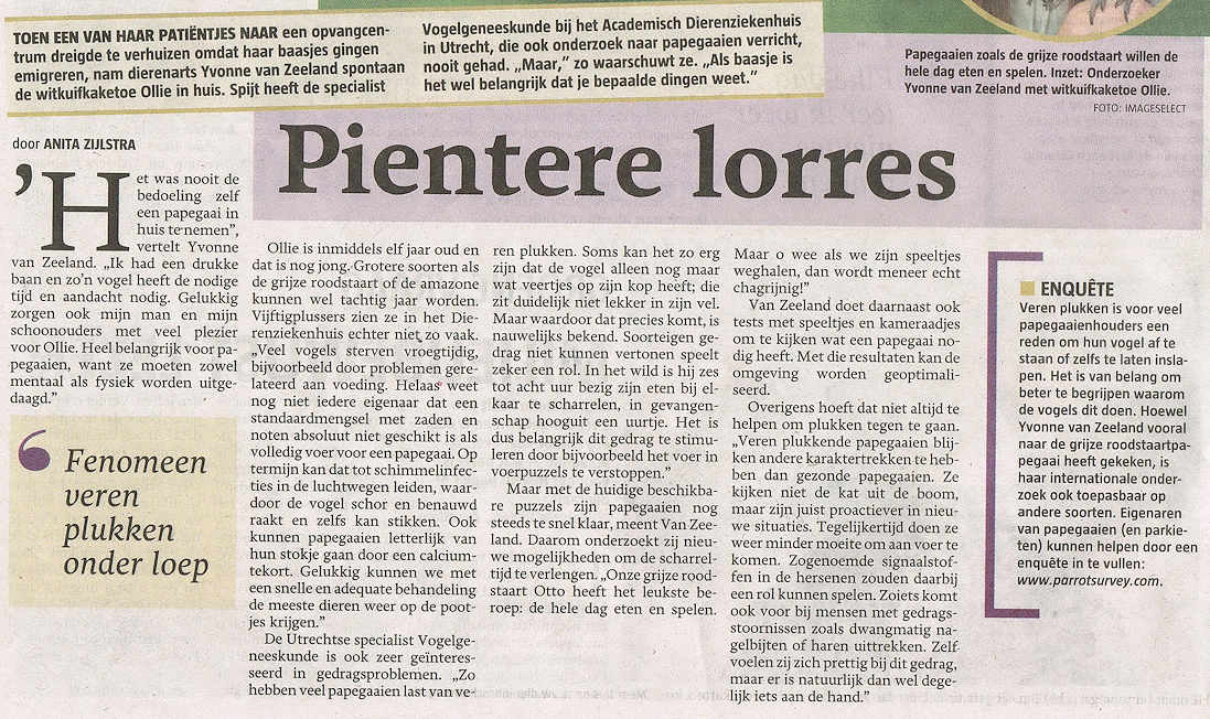 pientere lorres tekst