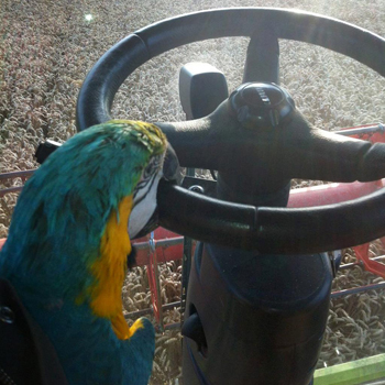 tractor2