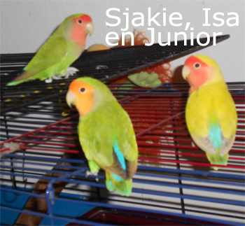 Sjakie Isa en Junior