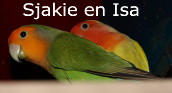 Sjakie en Isa 2