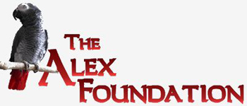 Alex foundation