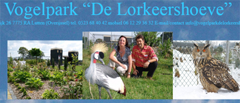 Lorkeershoeve