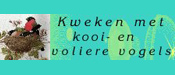 banner kooivogels