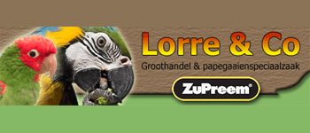 lorreco