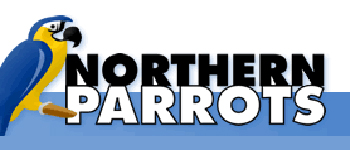 northern parrots