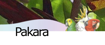 pakara