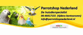 parrotshop1