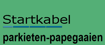 ppgparkietstartpgn