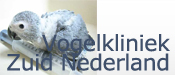 vogelkliniek zuidnl