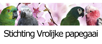 vrolijke papegaai