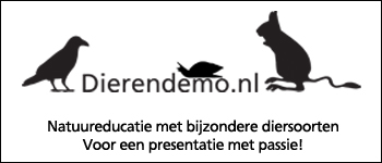 www.dierendemo.nl