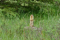 image016
