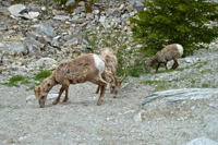 image019
