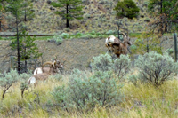 image021