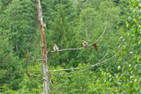 image022