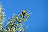 image023