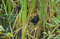 image024