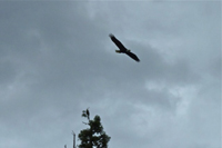 image025