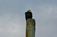 image026