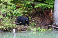 image031