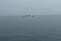 image032