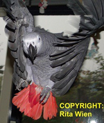 image013