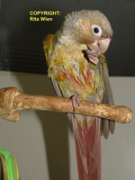 image019