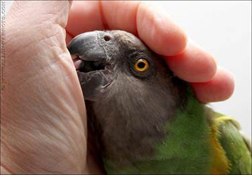 image025