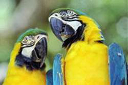 image026