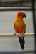 image044