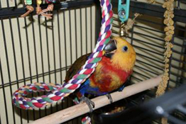 image002