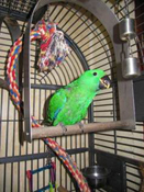 image003