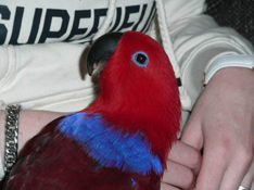 image011