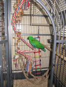 image012