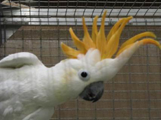 image013