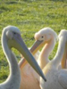 image022