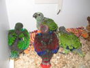 image023