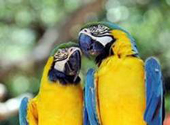 image014