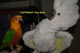 image028