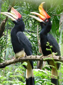 image008
