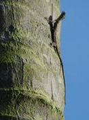 image030