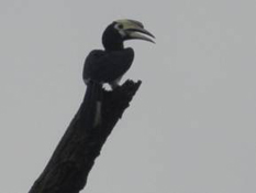 image033