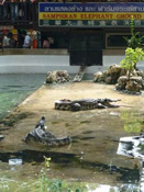image036