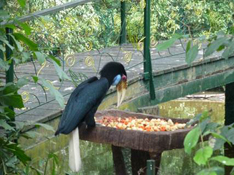image026