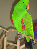 image037
