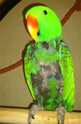 image039