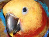 image001