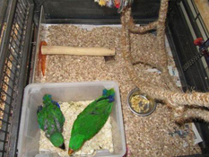 image006