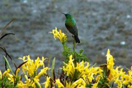 image035
